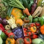 Greenheart Heirloom Mixed Vegetable Box, Organic