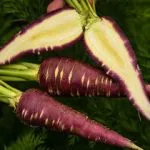 Carrots, Heirloom 'Gniff', Organic